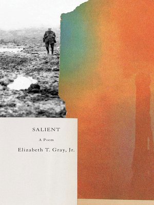 cover image of Salient